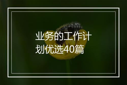 业务的工作计划优选40篇