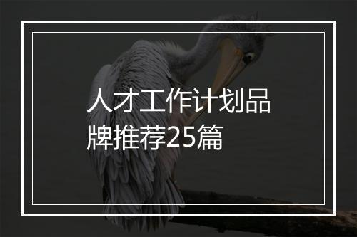 人才工作计划品牌推荐25篇