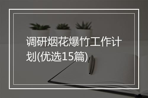 调研烟花爆竹工作计划(优选15篇)