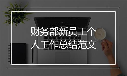 财务部新员工个人工作总结范文