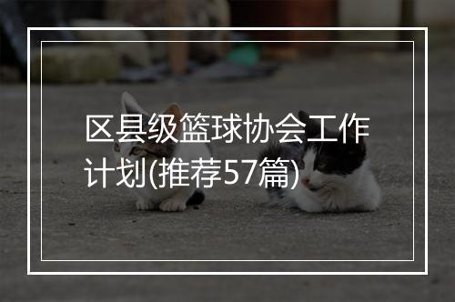 区县级篮球协会工作计划(推荐57篇)