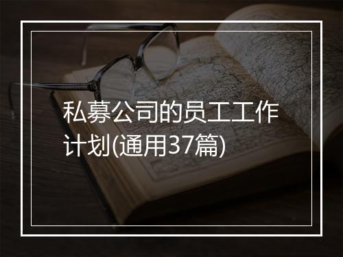 私募公司的员工工作计划(通用37篇)