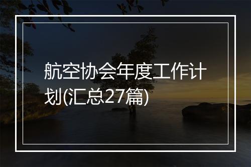 航空协会年度工作计划(汇总27篇)