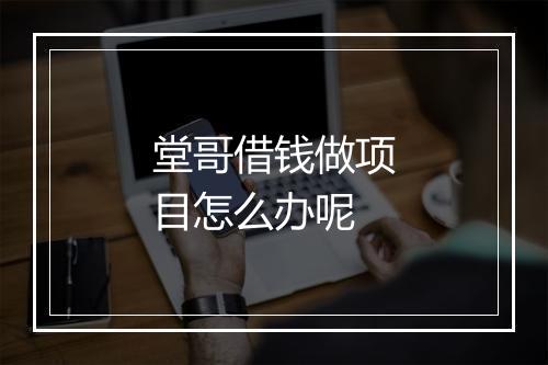 堂哥借钱做项目怎么办呢