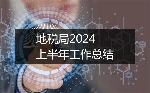 地税局2024上半年工作总结
