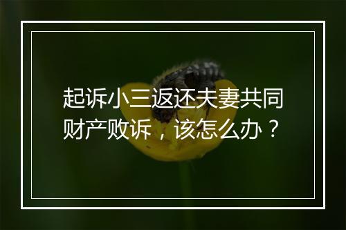 起诉小三返还夫妻共同财产败诉，该怎么办？