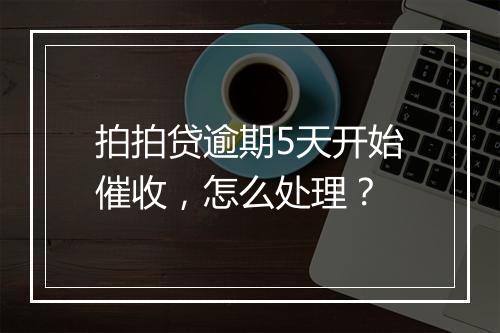 拍拍贷逾期5天开始催收，怎么处理？
