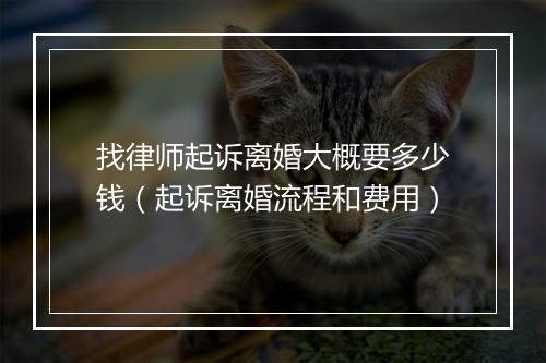 找律师起诉离婚大概要多少钱（起诉离婚流程和费用）