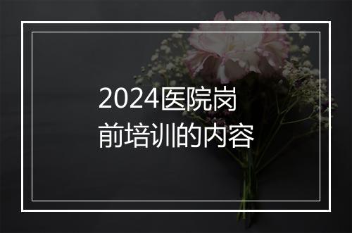 2024医院岗前培训的内容