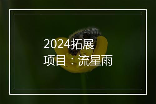 2024拓展项目：流星雨
