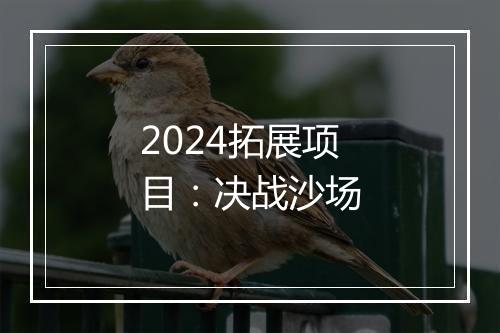 2024拓展项目：决战沙场