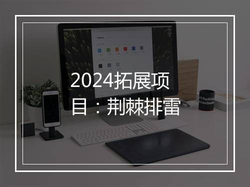 2024拓展项目：荆棘排雷