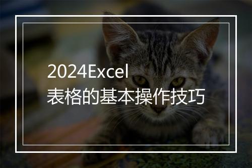 2024Excel表格的基本操作技巧