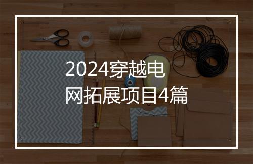2024穿越电网拓展项目4篇