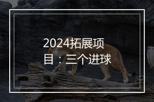 2024拓展项目：三个进球