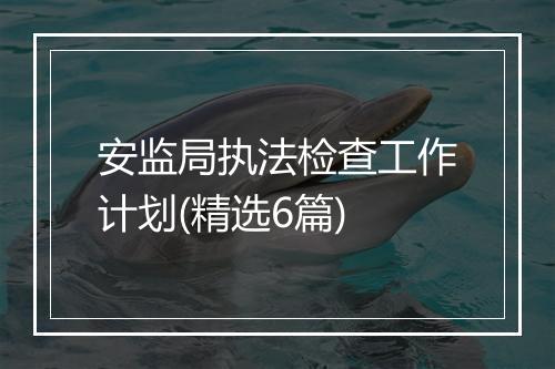 安监局执法检查工作计划(精选6篇)