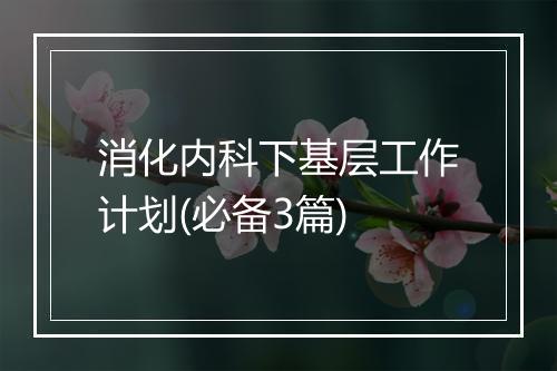 消化内科下基层工作计划(必备3篇)