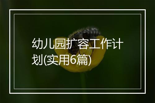 幼儿园扩容工作计划(实用6篇)