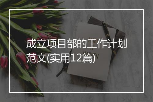 成立项目部的工作计划范文(实用12篇)