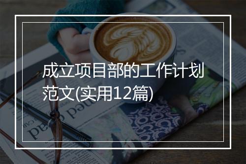 成立项目部的工作计划范文(实用12篇)