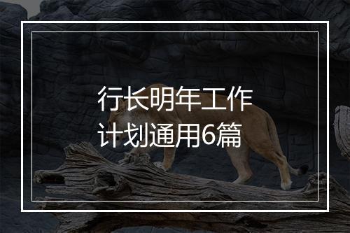行长明年工作计划通用6篇