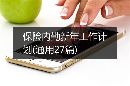 保险内勤新年工作计划(通用27篇)