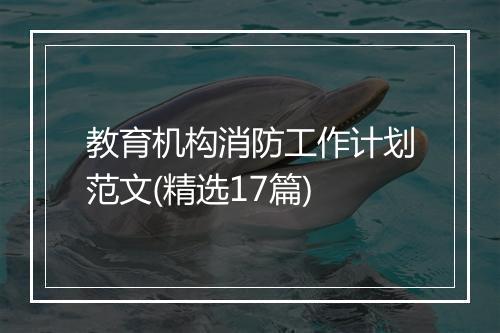 教育机构消防工作计划范文(精选17篇)