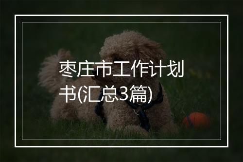 枣庄市工作计划书(汇总3篇)