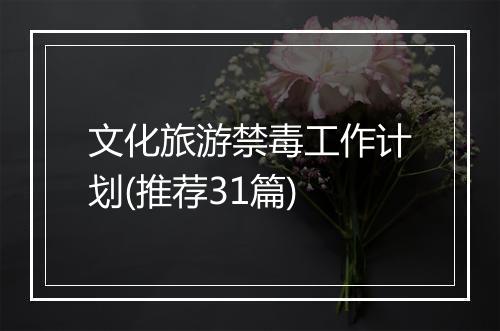 文化旅游禁毒工作计划(推荐31篇)