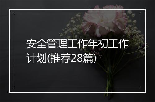 安全管理工作年初工作计划(推荐28篇)