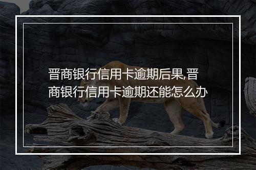 晋商银行信用卡逾期后果,晋商银行信用卡逾期还能怎么办