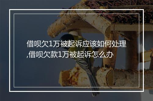 借呗欠1万被起诉应该如何处理,借呗欠款1万被起诉怎么办