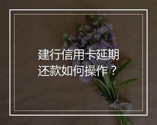 建行信用卡延期还款如何操作？