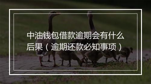 中油钱包借款逾期会有什么后果（逾期还款必知事项）