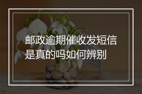 邮政逾期催收发短信是真的吗如何辨别