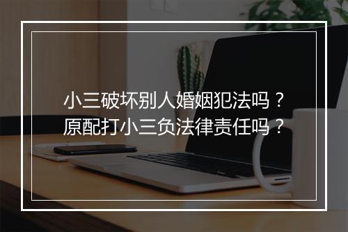 小三破坏别人婚姻犯法吗？原配打小三负法律责任吗？