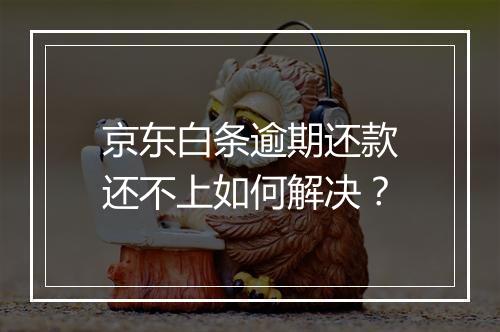 京东白条逾期还款还不上如何解决？