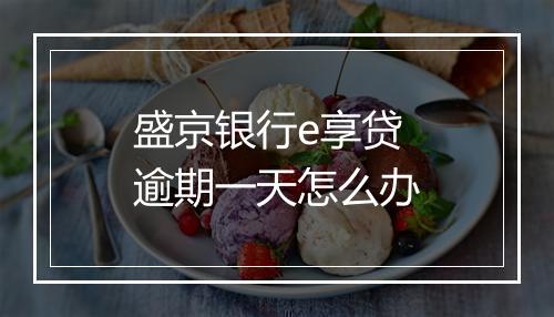 盛京银行e享贷逾期一天怎么办