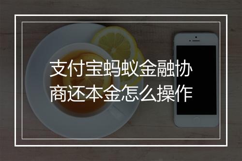 支付宝蚂蚁金融协商还本金怎么操作