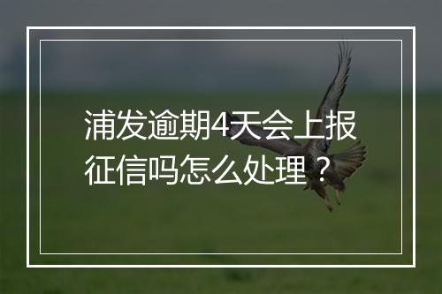 浦发逾期4天会上报征信吗怎么处理？
