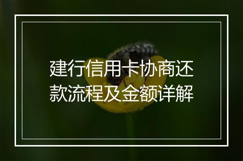 建行信用卡协商还款流程及金额详解