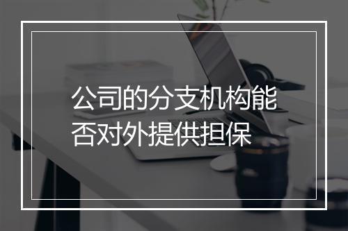 公司的分支机构能否对外提供担保