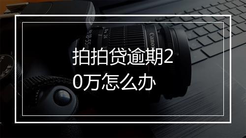 拍拍贷逾期20万怎么办