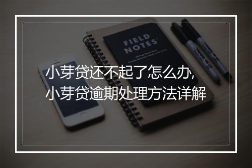 小芽贷还不起了怎么办,小芽贷逾期处理方法详解