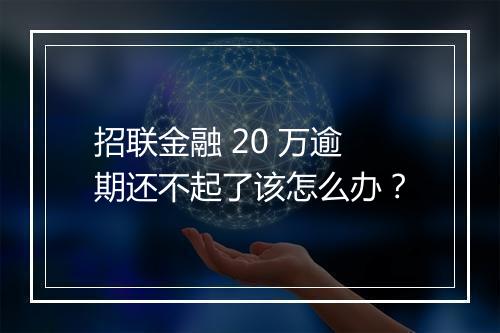 招联金融 20 万逾期还不起了该怎么办？