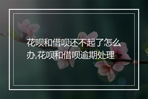 花呗和借呗还不起了怎么办,花呗和借呗逾期处理