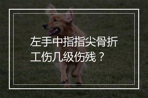 左手中指指尖骨折工伤几级伤残？