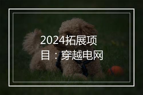 2024拓展项目：穿越电网