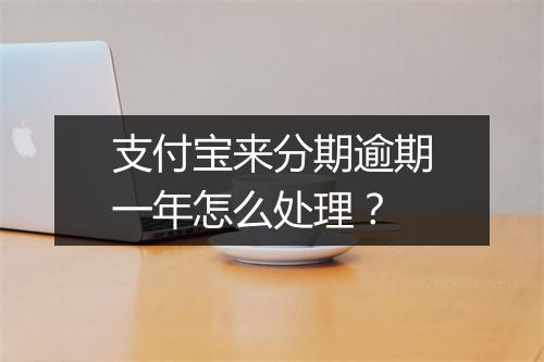 支付宝来分期逾期一年怎么处理？