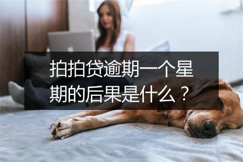 拍拍贷逾期一个星期的后果是什么？